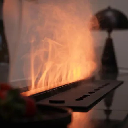 Minerva Boutique בית הארחה 4*